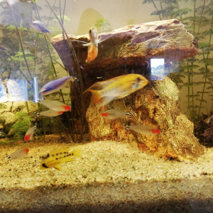 Publication de Valilou