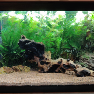 Publication de Scorpmat