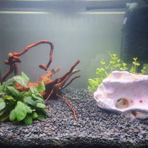 30L