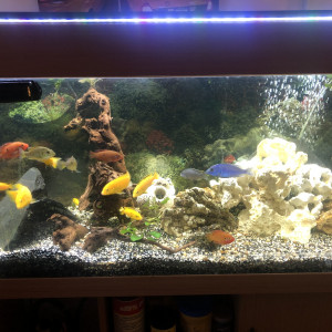 Publication de julie94