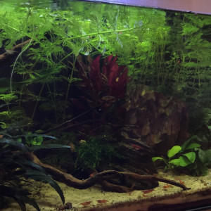 Publication de Pouyo76