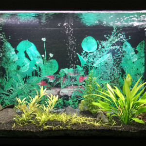 Fluval Osaka 260
