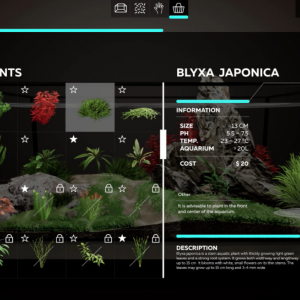 Publication de hydrocotyle