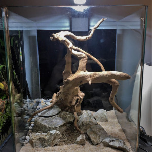 Nano 20 L N2