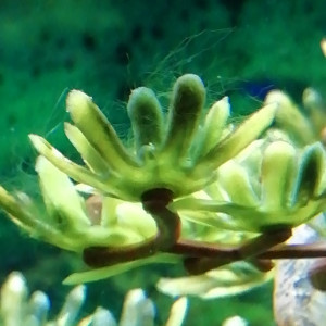 Publication de Julienmelanie72300