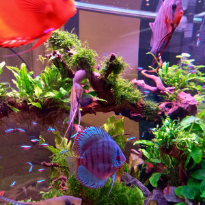 Publication de Claude34