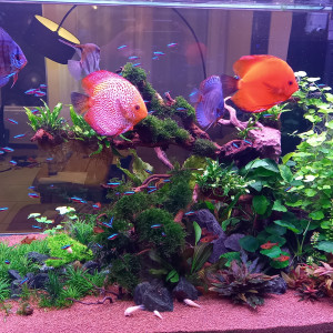 Publication de Claude34