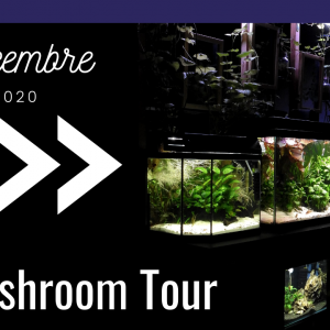 Publication de MarleneMLX