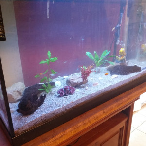 Publication de Fabrice71