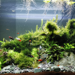 Publication de ChrisdeReims