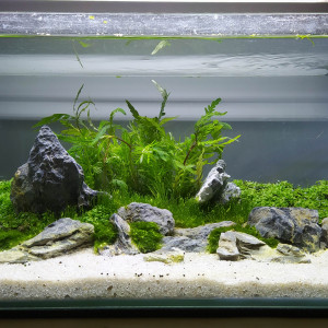 Publication de AwesomeSince82