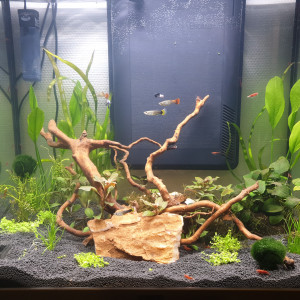 AQUALANTIS 110 L