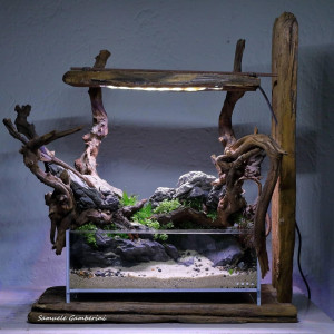 Publication de NakMuay