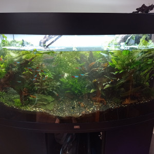 Publication de Stef7524