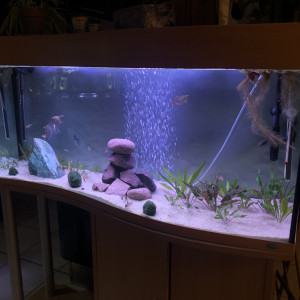 Publication de mireille-gillmann