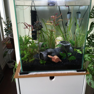 50L d appartement