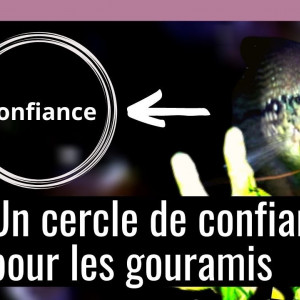 Publication de MarleneMLX