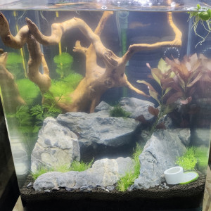 Publication de TortueGeniale91