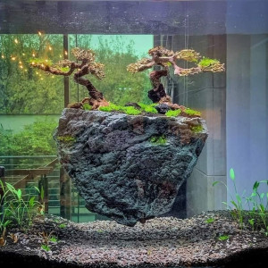 Publication de NakMuay