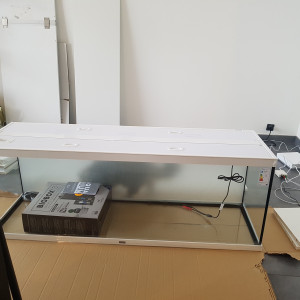 Publication de Mevew