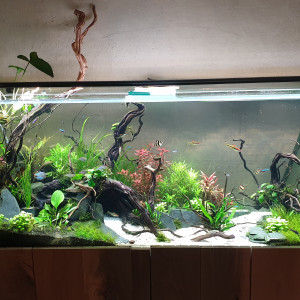 Publication de Marzouii