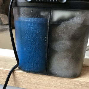 Publication de Db63100