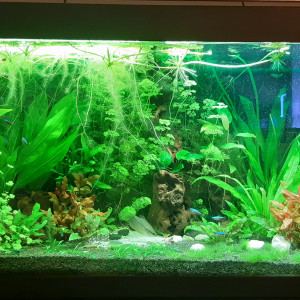 Publication de laure-poussinsky