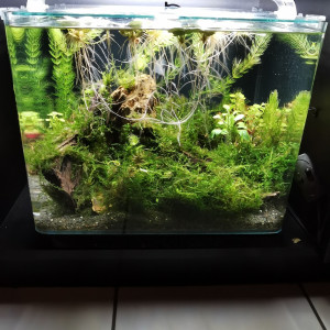 Publication de ChrisdeReims