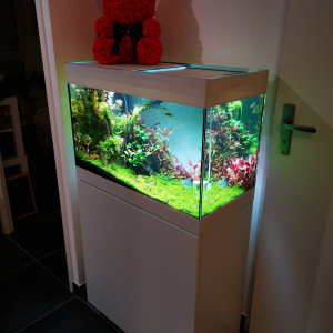 Oase Styline 125