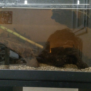Aquarium Laurence