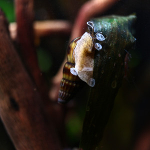 Publication de MarleneMLX