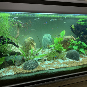 450 l communautaire