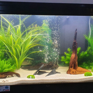 Chambre 200L