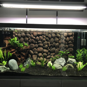 Osaka 320