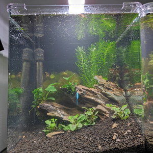 Nano1