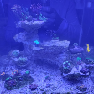 Nano