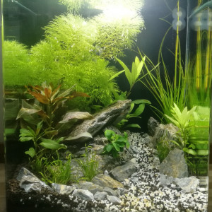 Nano 30l