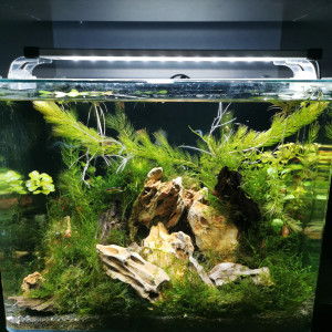 Publication de ChrisdeReims