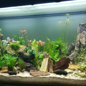 Aqua 400