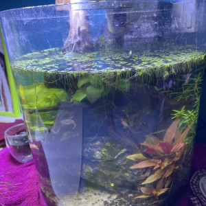 Publication de sindy-jedrzejewski