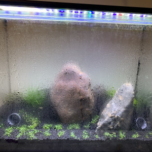 Publication de Touptiski