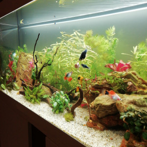 Publication de Jenbru