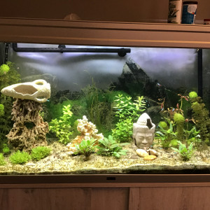 Aquarium salon