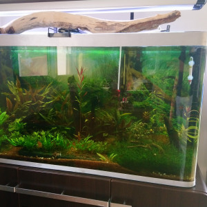 Fluval Osaka 320