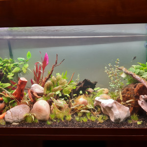Aqua2-200