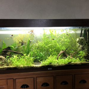 Publication de Aquachristophe