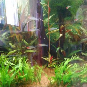 Publication de micka33140