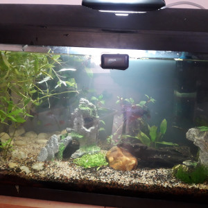 Publication de irenaben