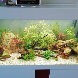 Publication de Jenbru