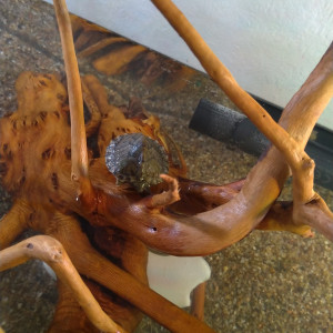 Publication de Saykeer